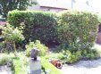 heg verwijderen houten schutting.swf