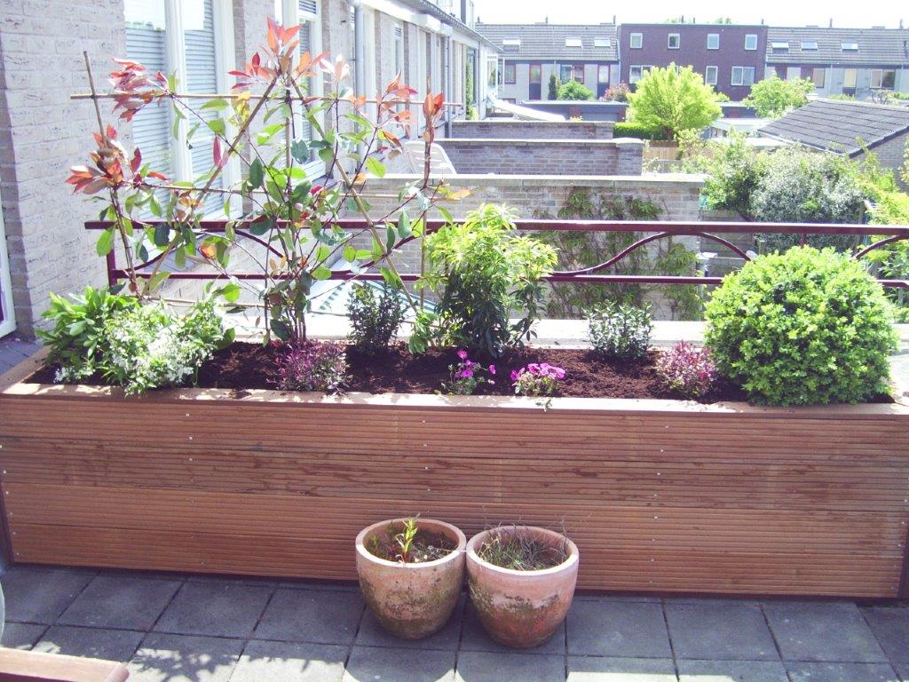 Quagga overal mild Balkon en plantenbak